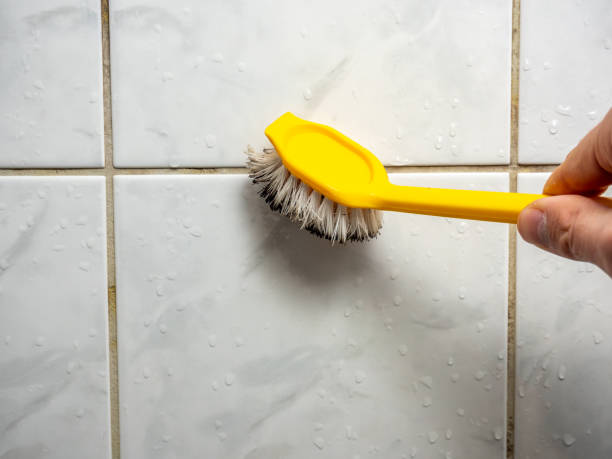 Best Certified Mold Removal  in Murrieta, CA